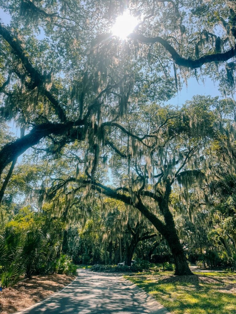 seabrook south carolina, coon hollow, rental, rental property, family rental with pool, travel guide, seabrook island south carolina traveling, travel post, farmers market at freshfields village