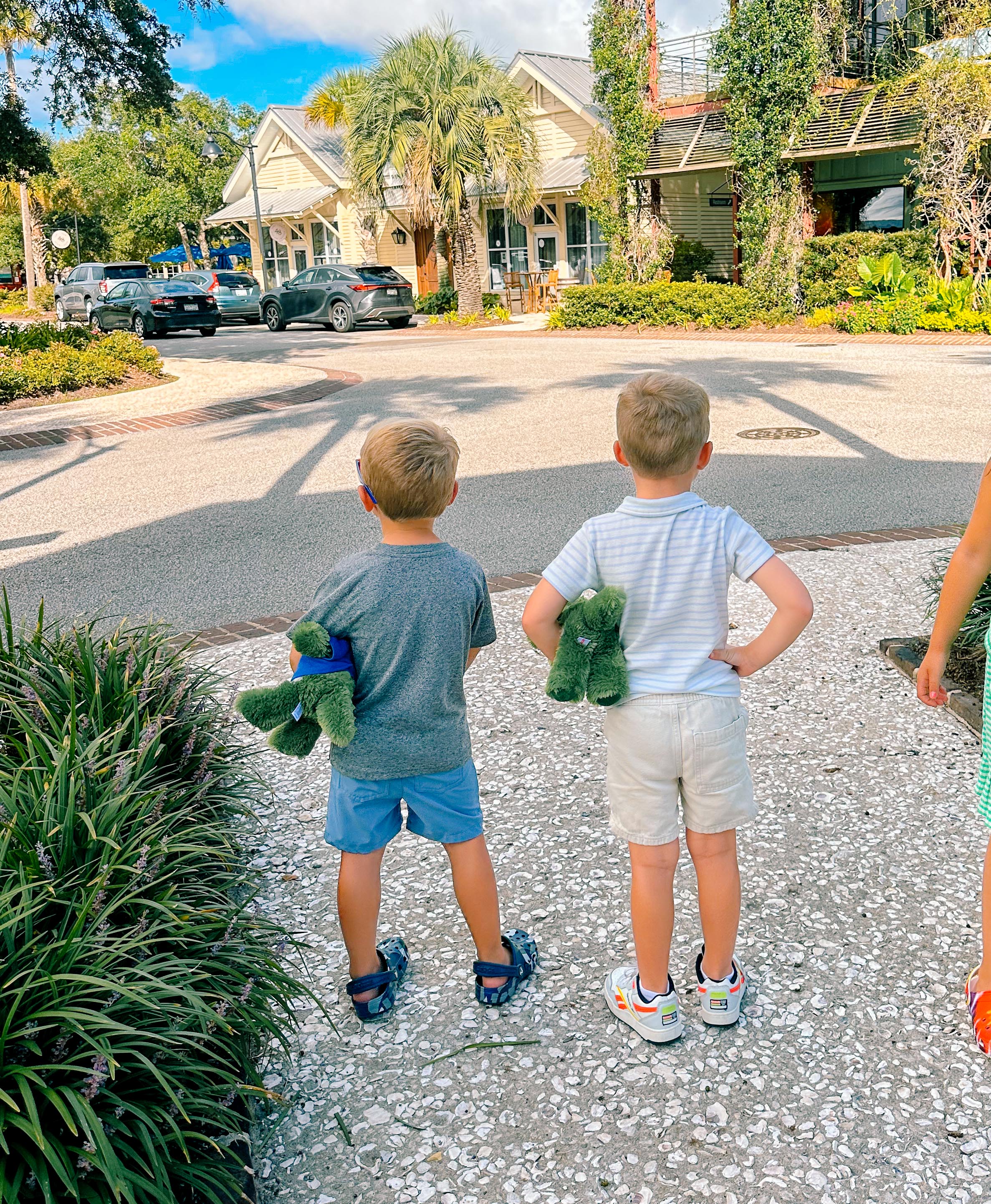 seabrook south carolina, coon hollow, rental, rental property, family rental with pool, travel guide, seabrook island south carolina traveling, travel post, farmers market at freshfields village