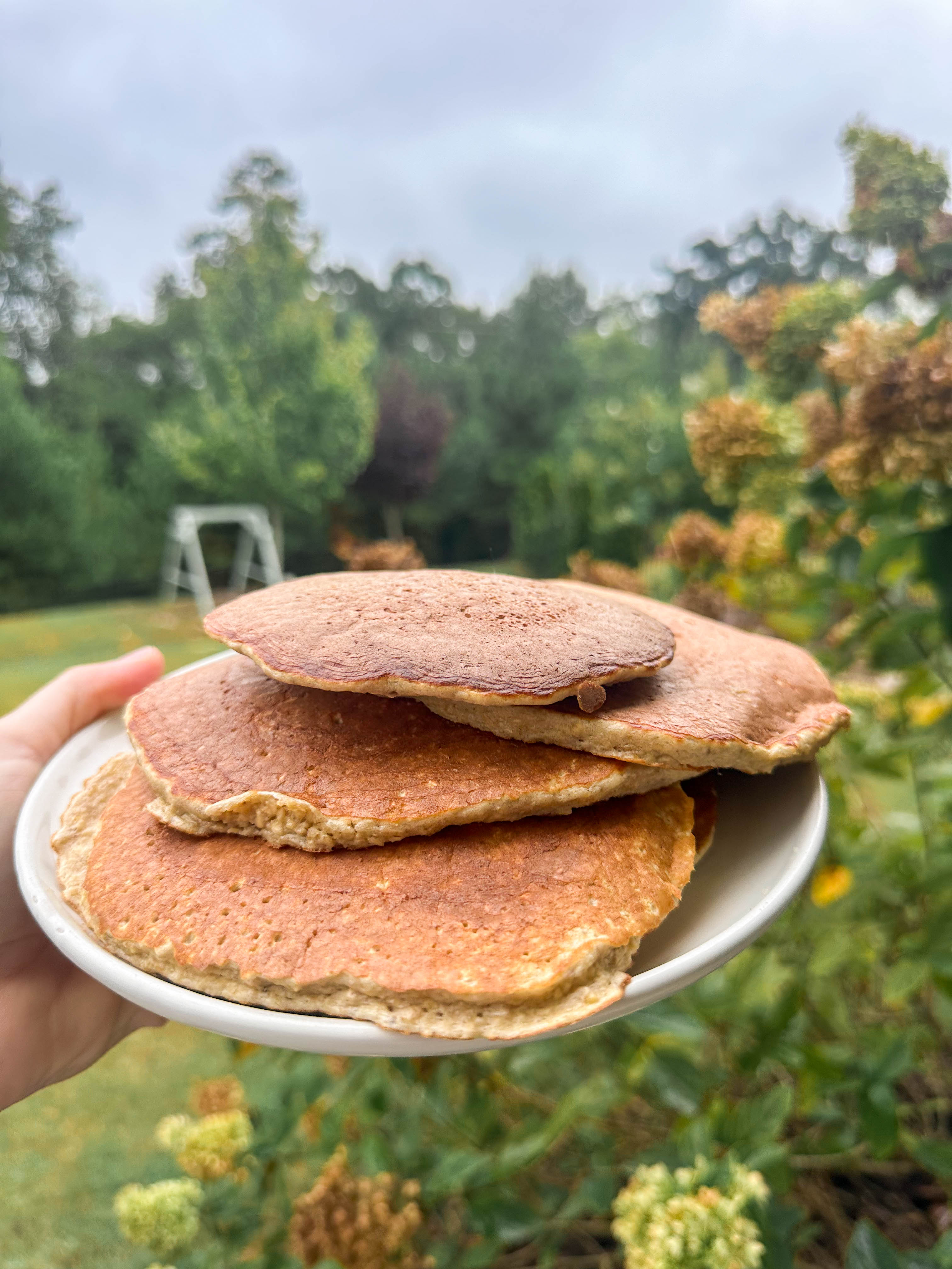 the weekly recap blog, lifestyle blogger, fort mill south carolina, mom blogger, lifestyle, simply taralynn