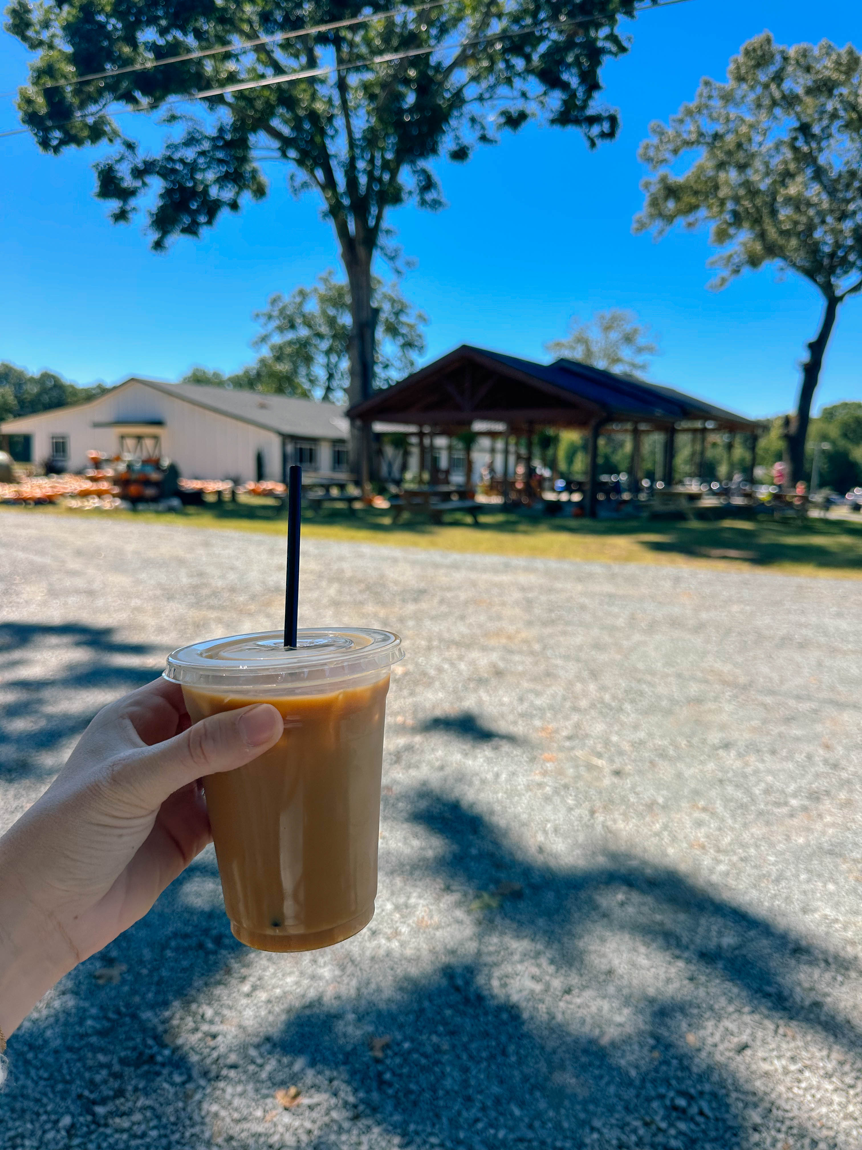 the weekly recap blog, lifestyle blogger, fort mill south carolina, mom blogger, lifestyle, simply taralynn