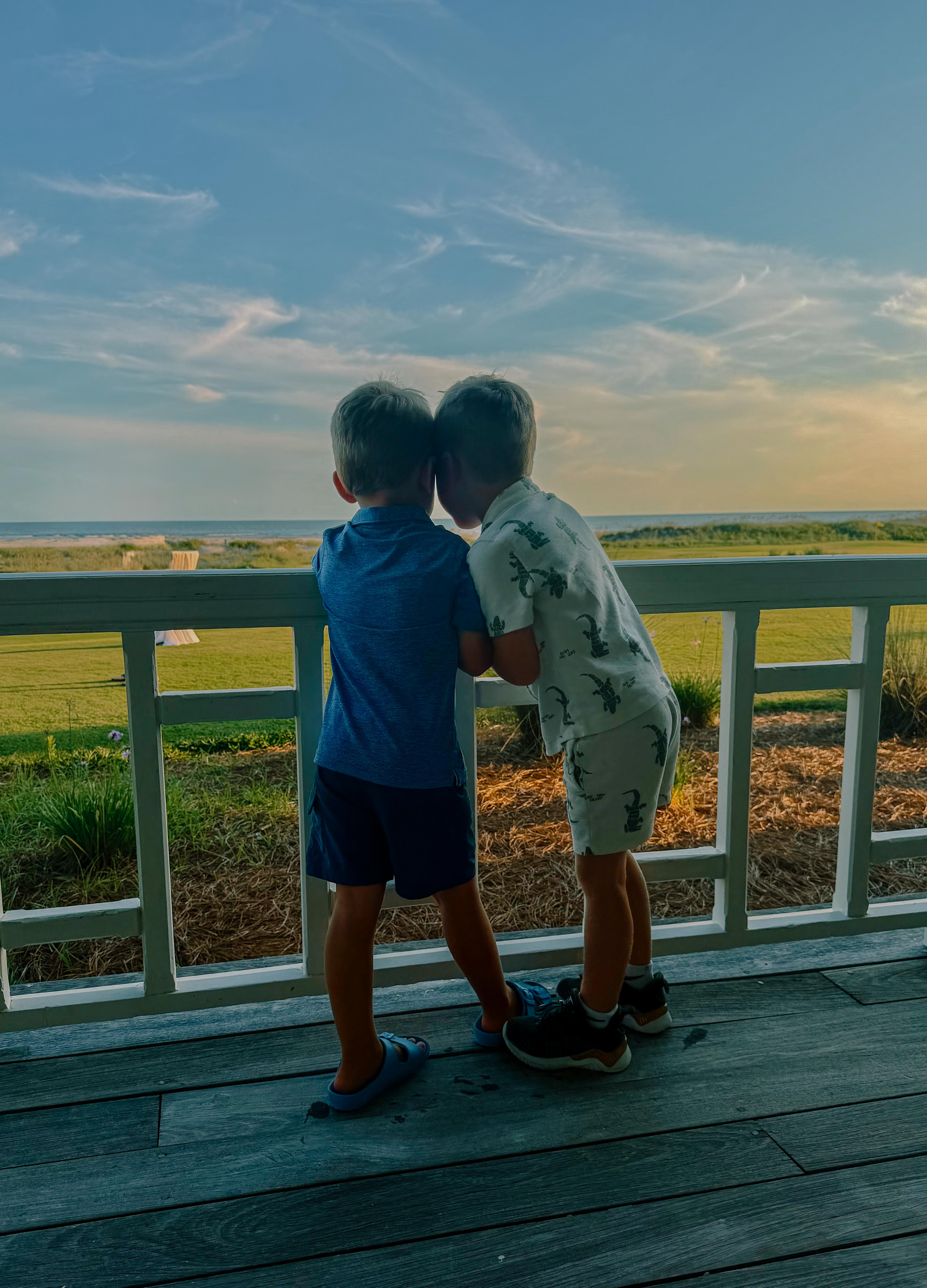 night heron park kiawah south carolina, the nest, market