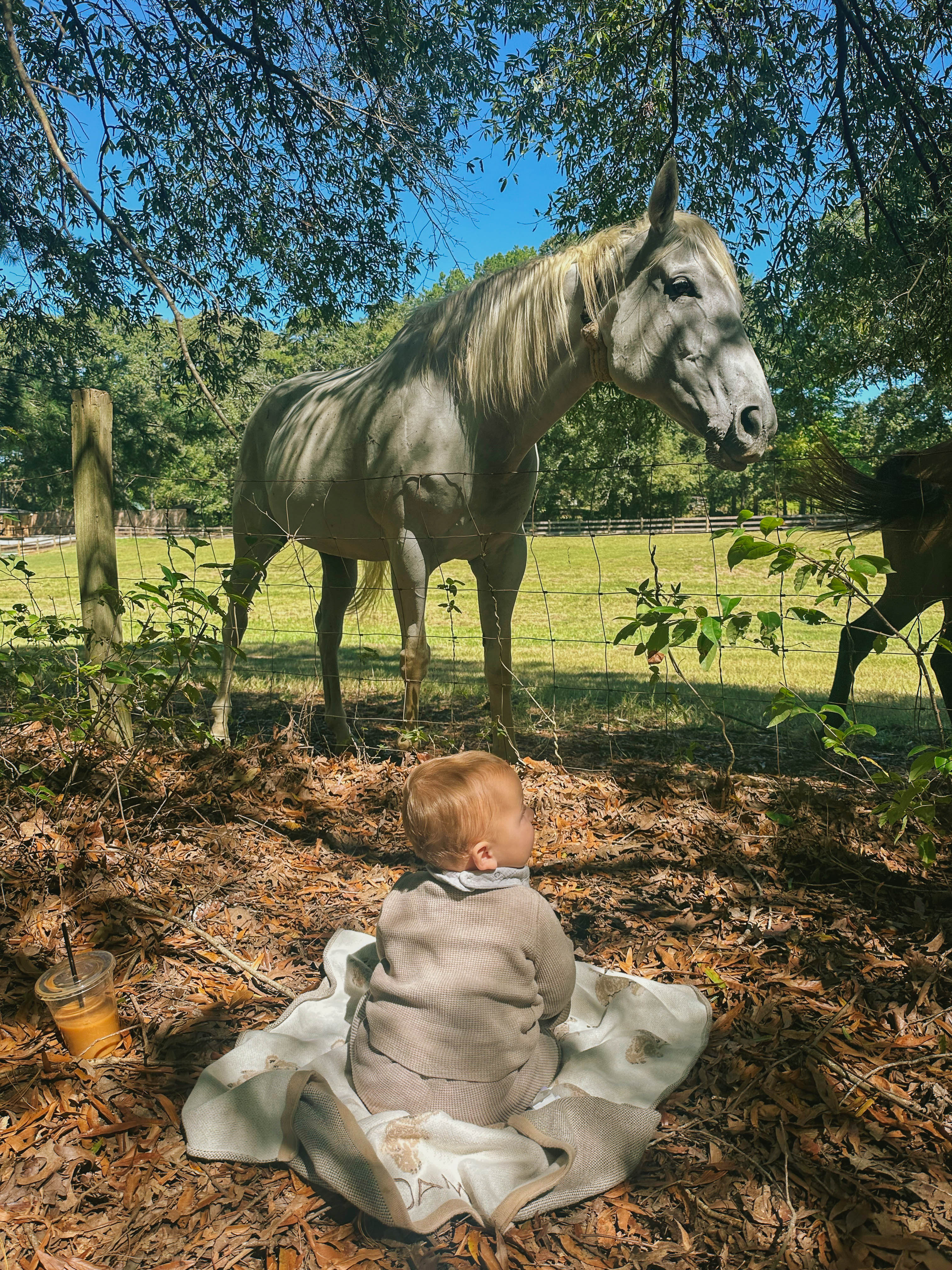 the weekly recap blog, lifestyle blogger, fort mill south carolina, mom blogger, lifestyle, simply taralynn