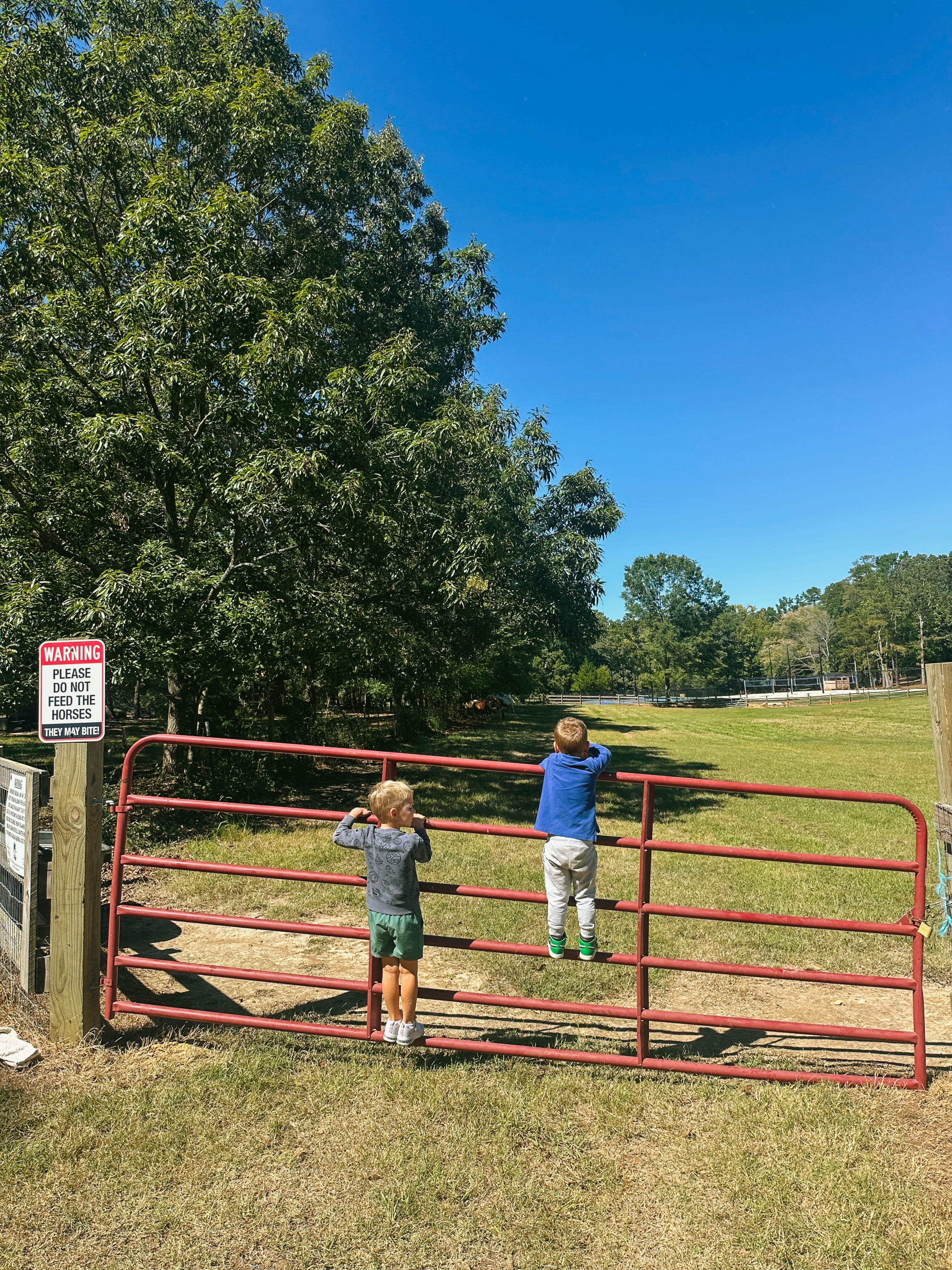 the weekly recap blog, lifestyle blogger, fort mill south carolina, mom blogger, lifestyle, simply taralynn