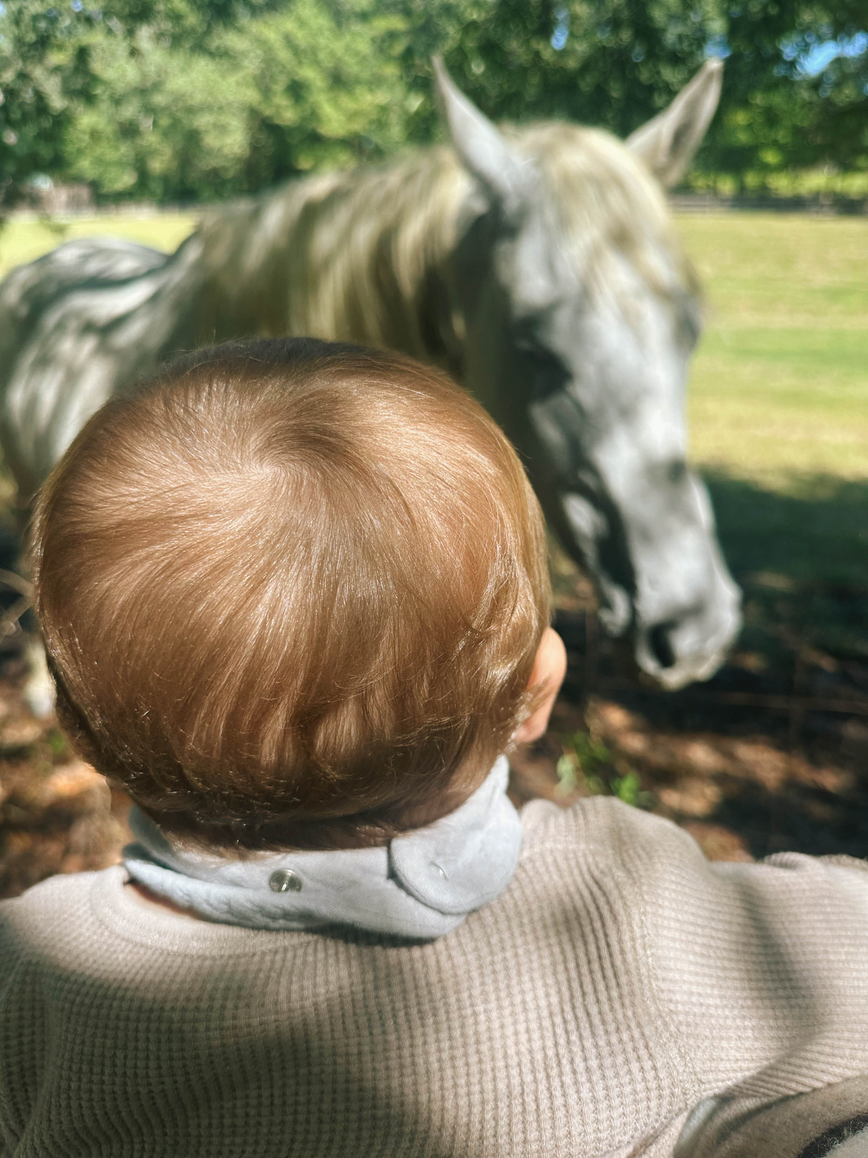 the weekly recap blog, lifestyle blogger, fort mill south carolina, mom blogger, lifestyle, simply taralynn