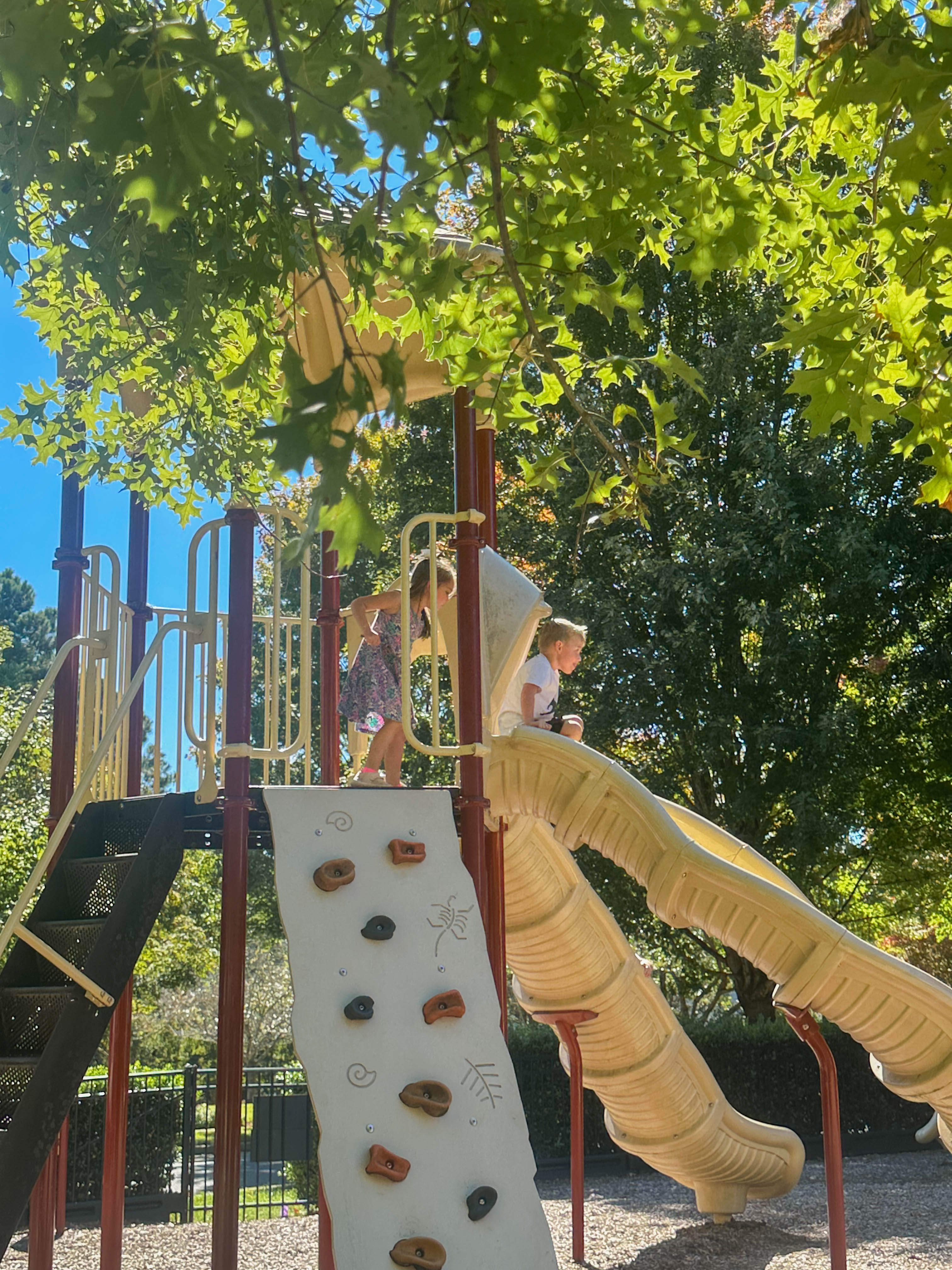 the weekly recap blog, lifestyle blogger, fort mill south carolina, mom blogger, lifestyle, simply taralynn