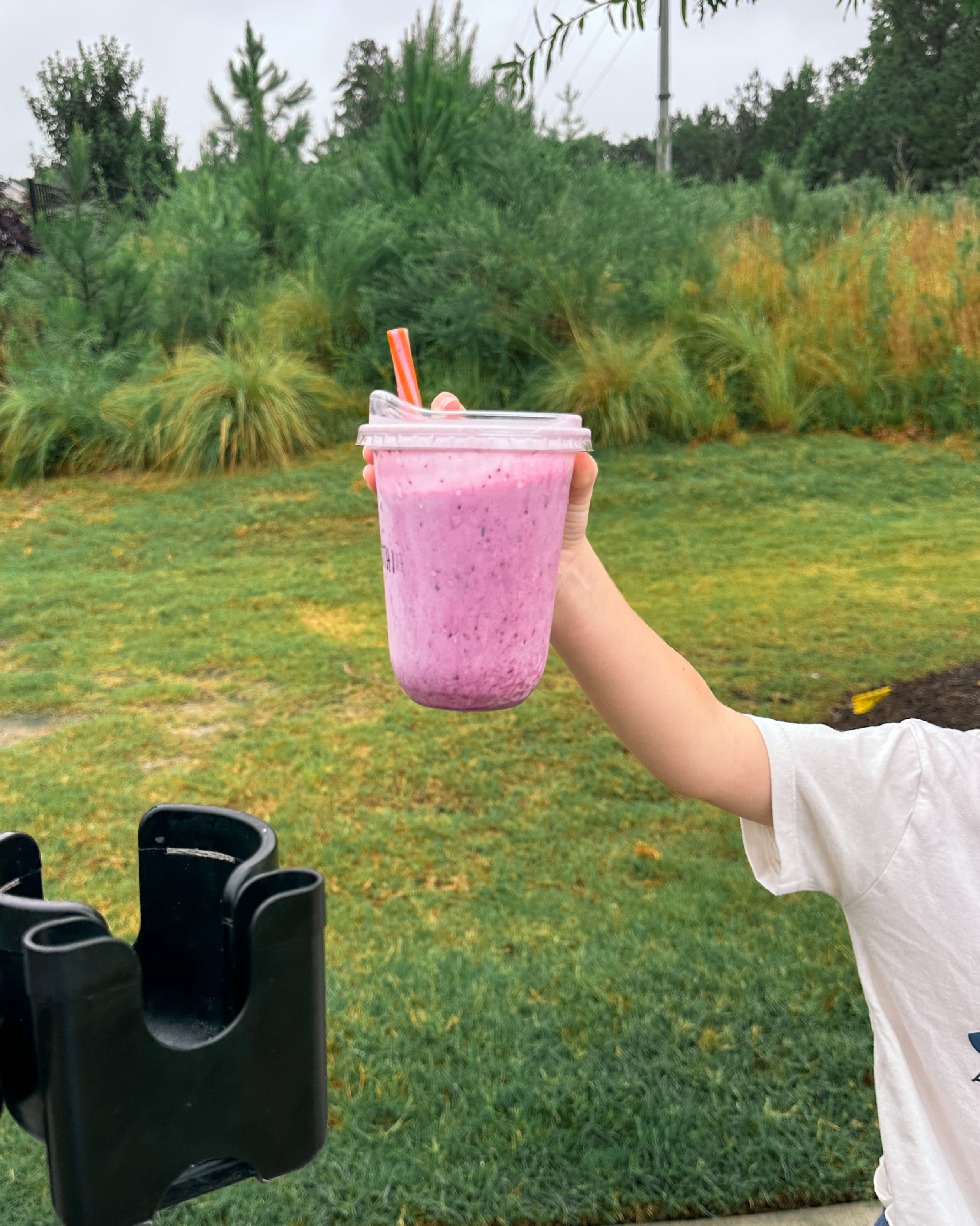 the weekly recap blog, lifestyle blogger, fort mill south carolina, mom blogger, lifestyle, simply taralynn