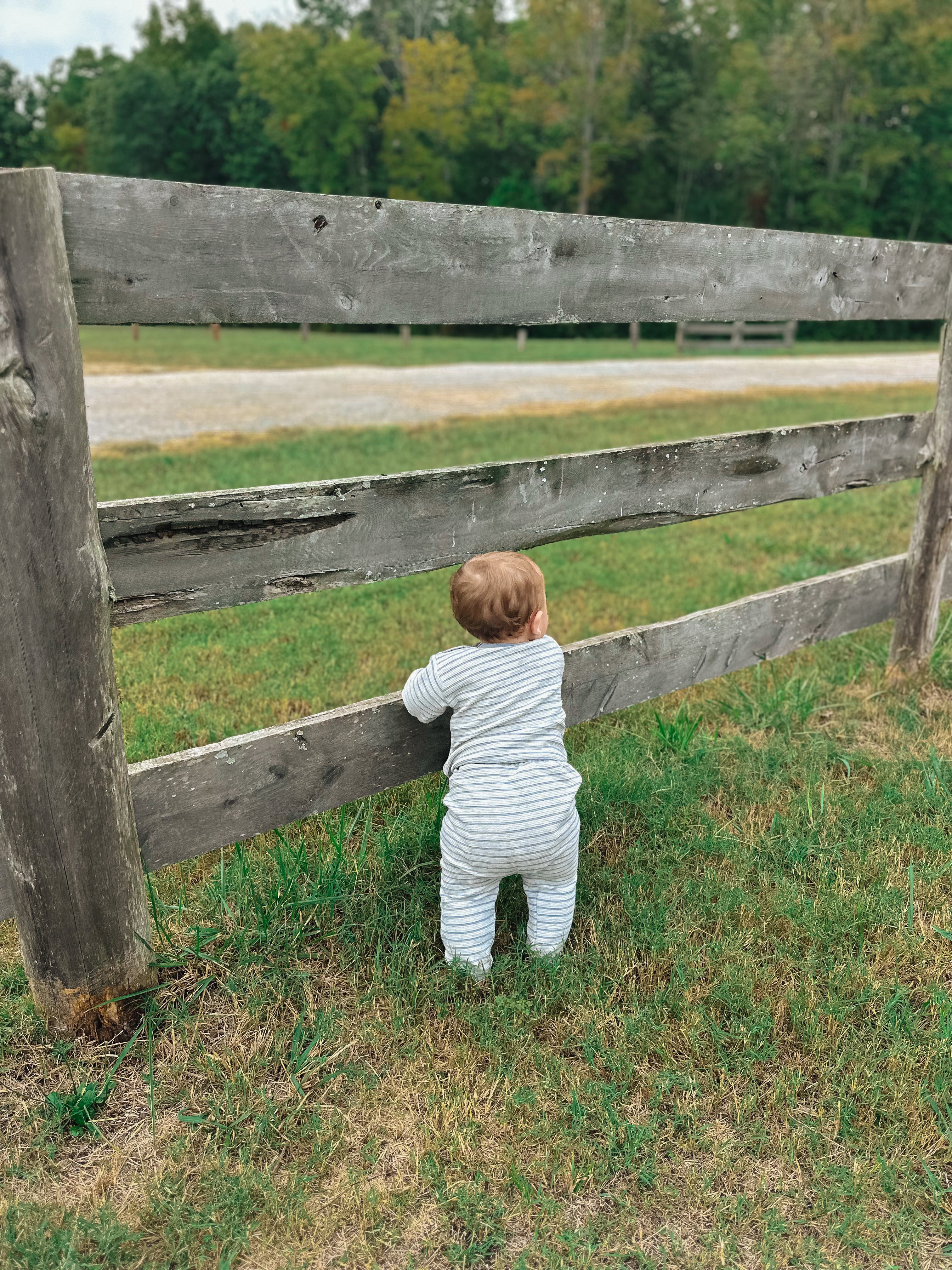 the weekly recap blog, lifestyle blogger, fort mill south carolina, mom blogger, lifestyle, simply taralynn