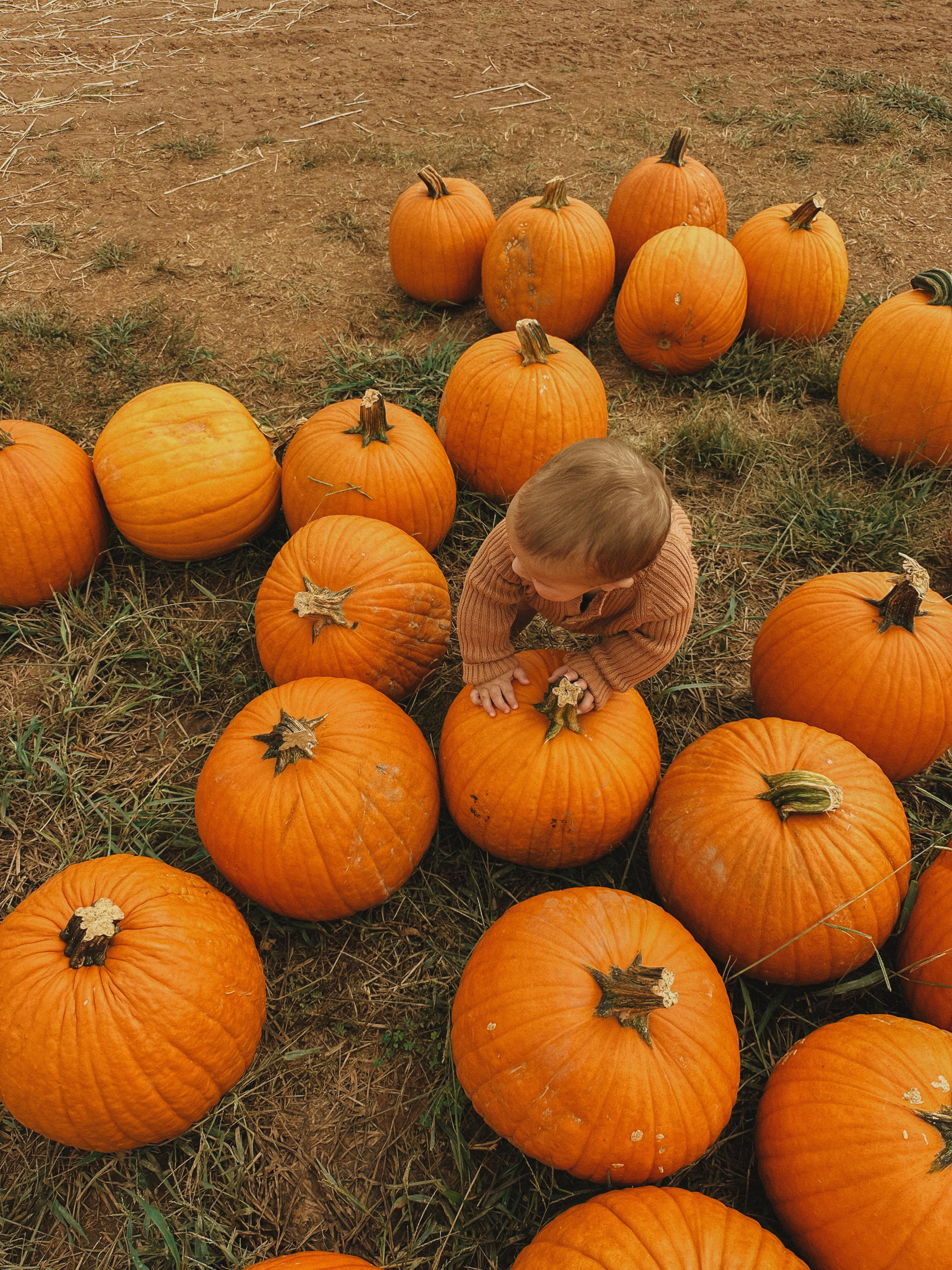 the weekly recap blog, lifestyle blogger, fort mill south carolina, mom blogger, lifestyle, simply taralynn