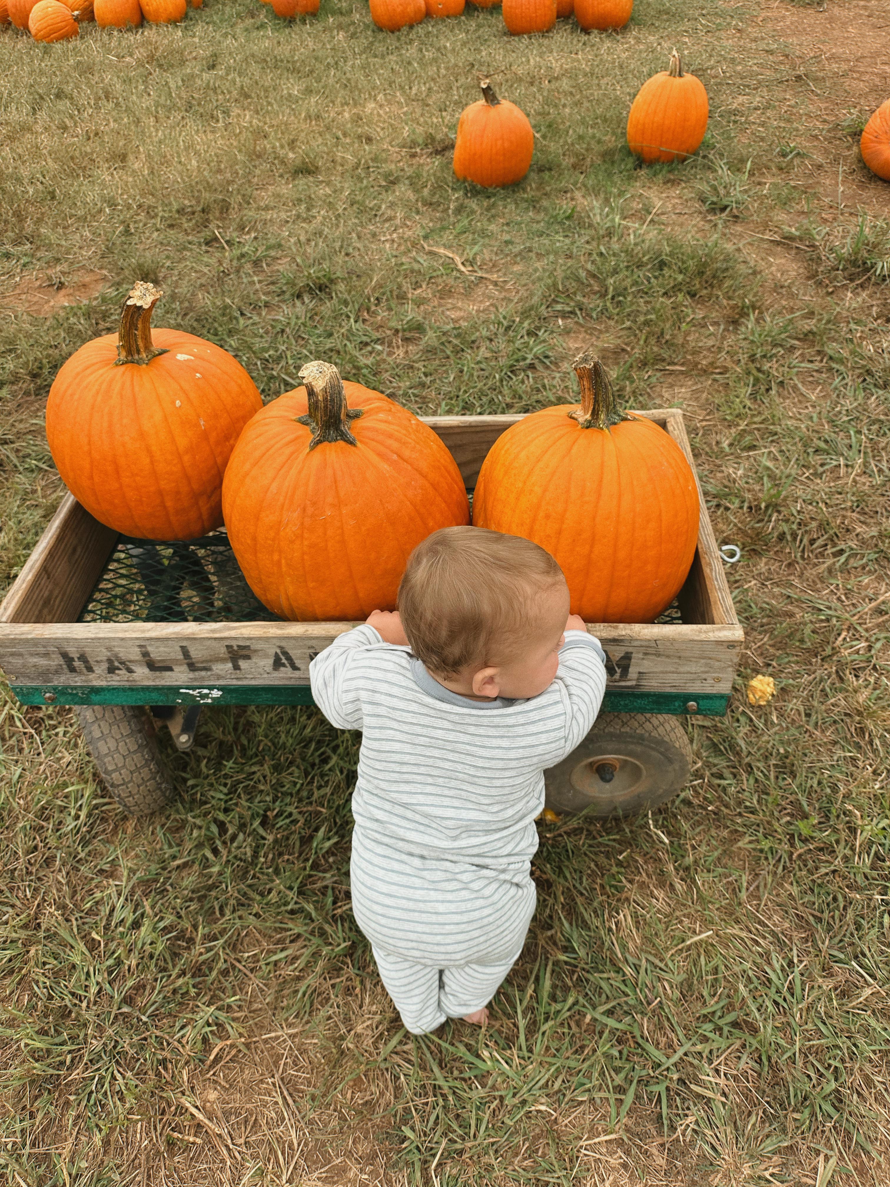 the weekly recap blog, lifestyle blogger, fort mill south carolina, mom blogger, lifestyle, simply taralynn
