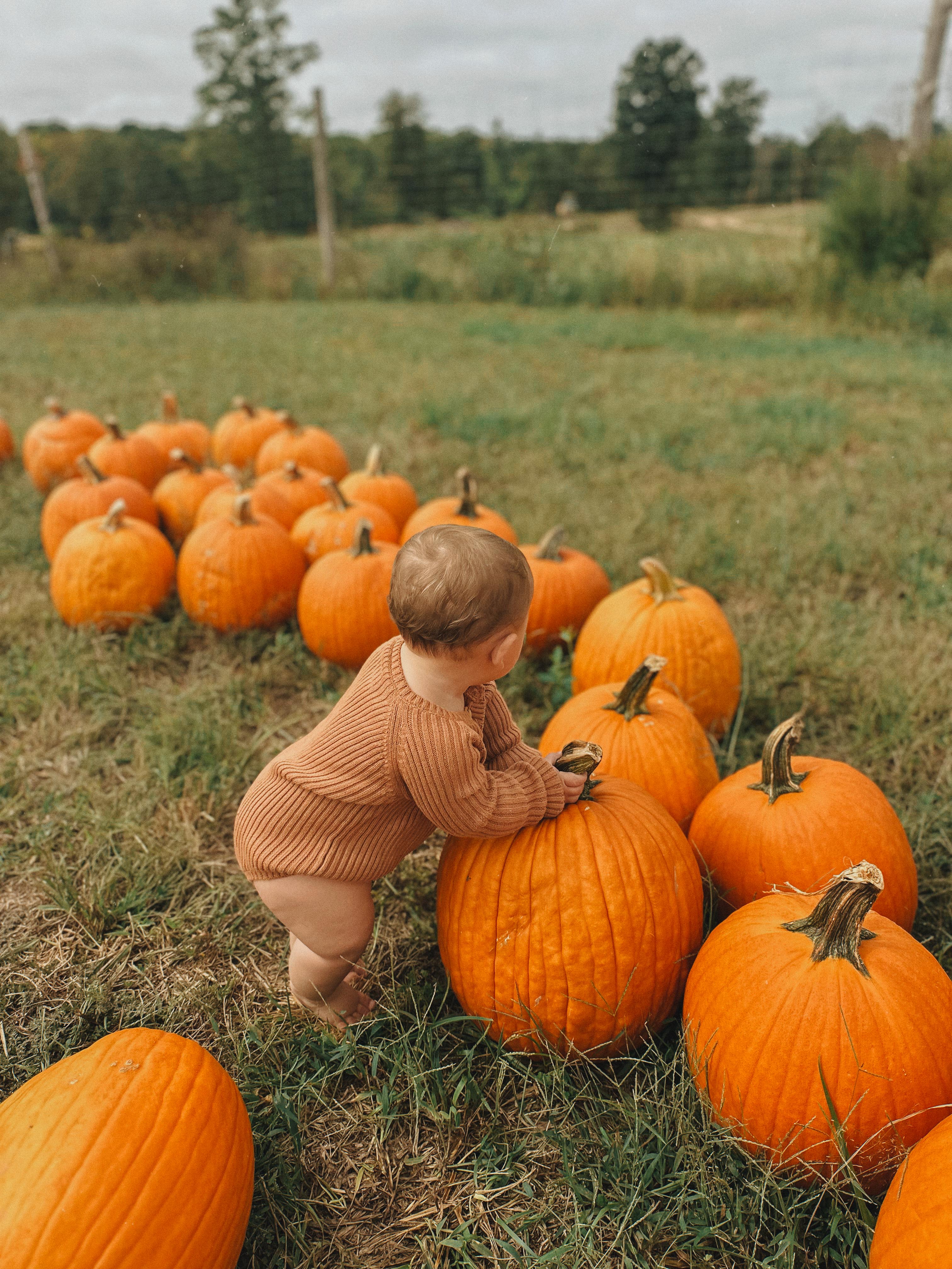 the weekly recap blog, lifestyle blogger, fort mill south carolina, mom blogger, lifestyle, simply taralynn