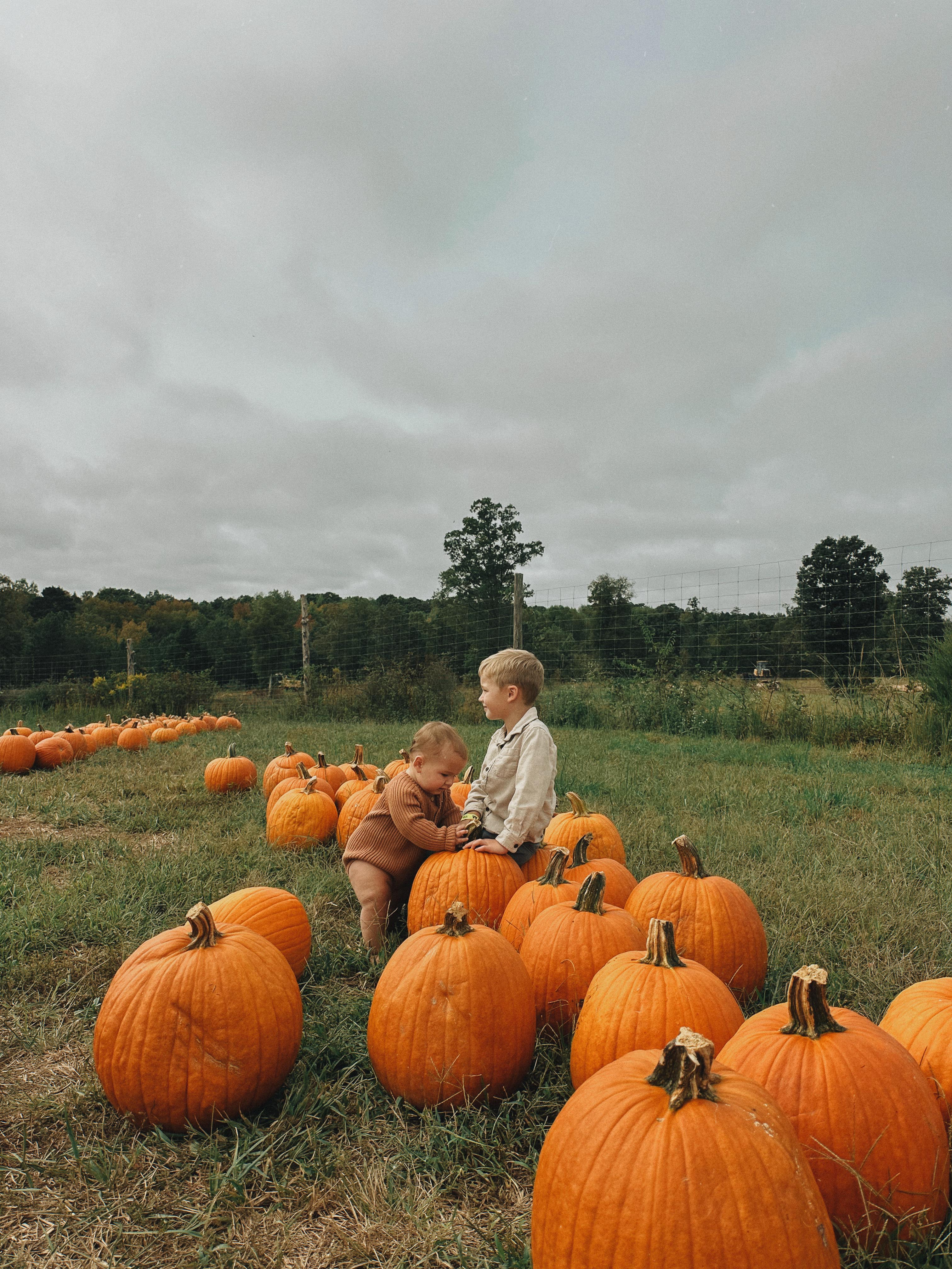 the weekly recap blog, lifestyle blogger, fort mill south carolina, mom blogger, lifestyle, simply taralynn