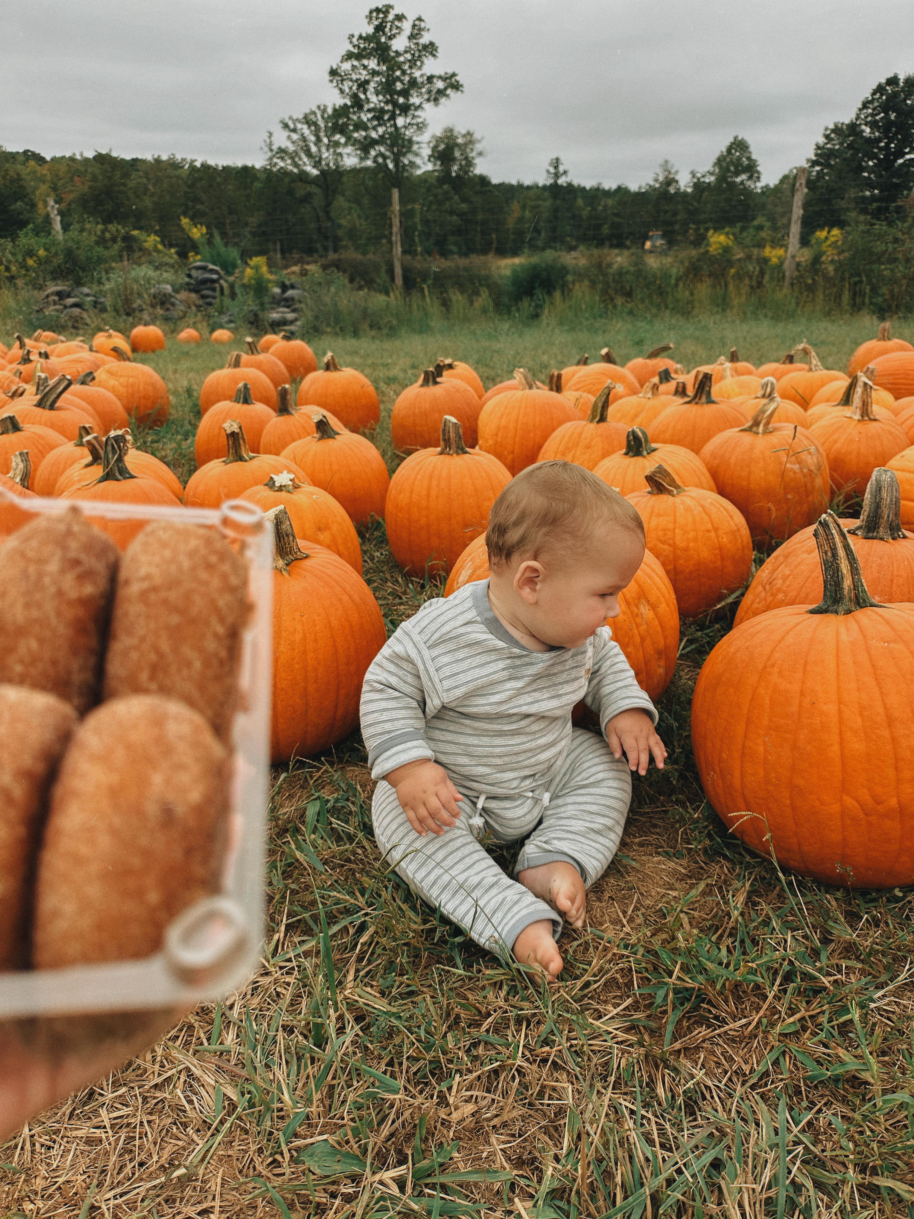 the weekly recap blog, lifestyle blogger, fort mill south carolina, mom blogger, lifestyle, simply taralynn