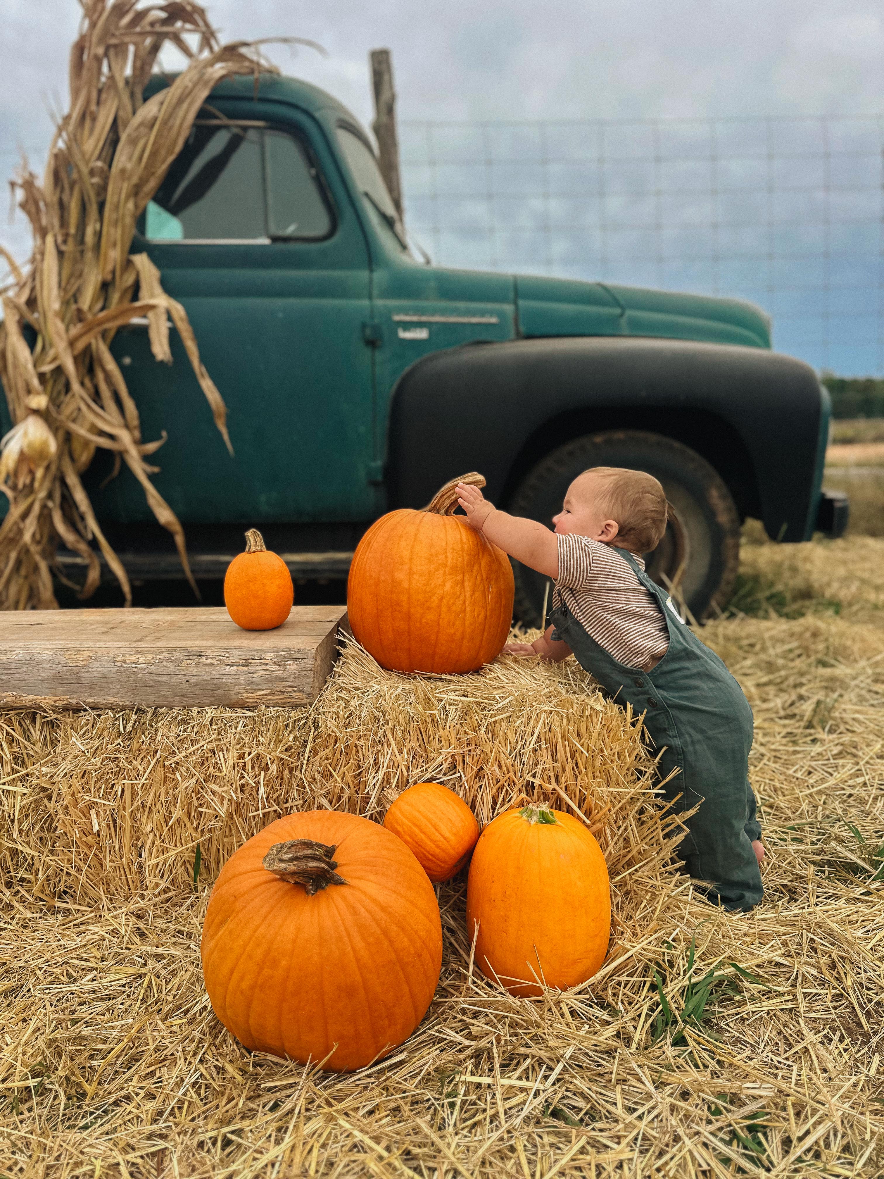 the weekly recap blog, lifestyle blogger, fort mill south carolina, mom blogger, lifestyle, simply taralynn