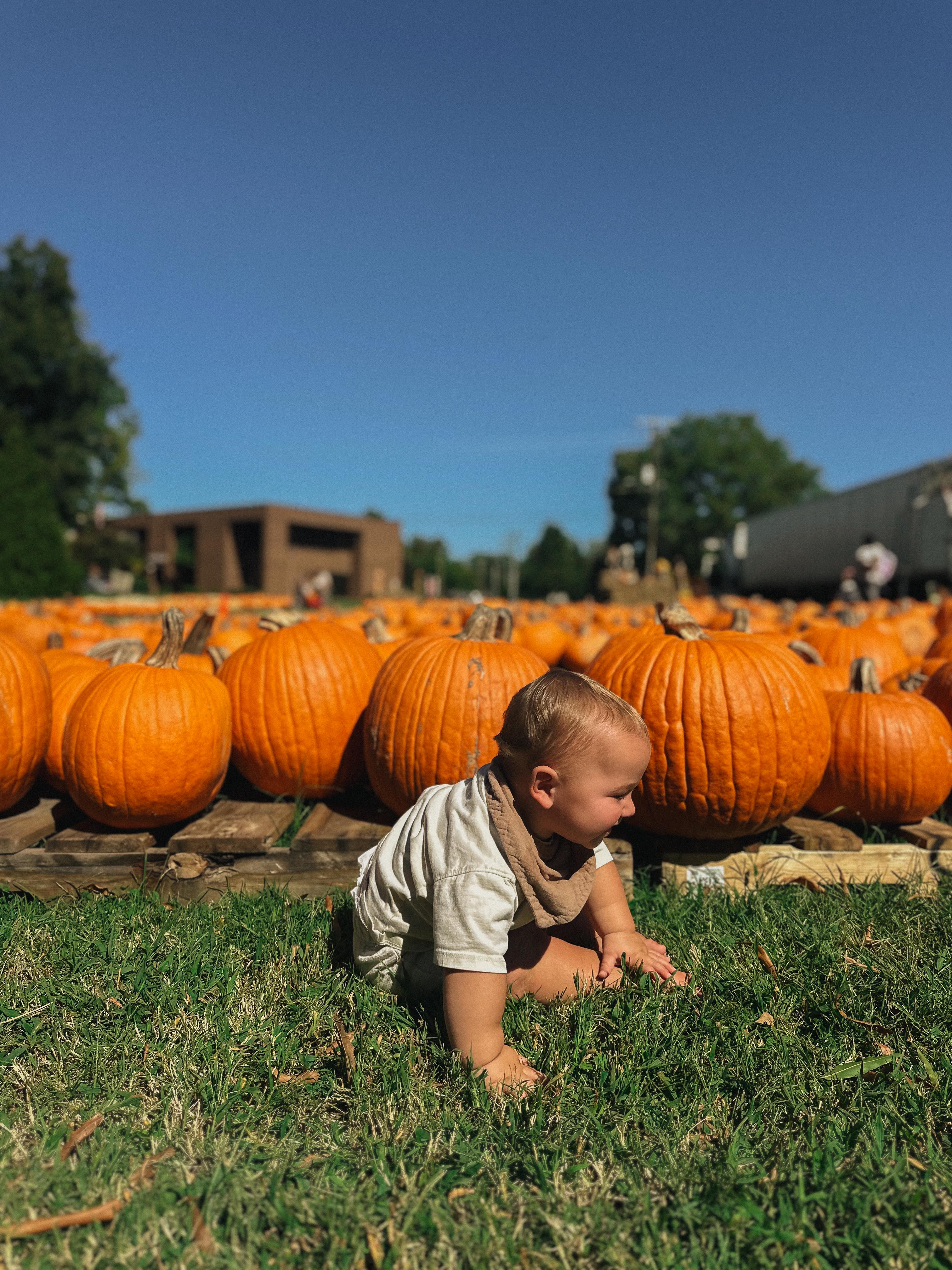 the weekly recap blog, lifestyle blogger, fort mill south carolina, mom blogger, lifestyle, simply taralynn